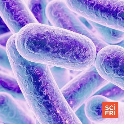 How Do Bacteria Talk To Each Other? How Do Bacteria Talk To Each Other?