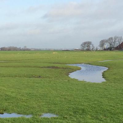 Wekker wurde yn de pipowein op snein diel sawn Wekker wurde yn de pipowein op snein diel sawn