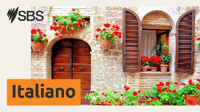 Nuove linee guida per il trattamento della commozione cerebrale Nuove linee guida per il trattamento della commozione cerebrale