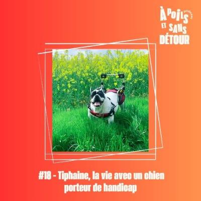 Ep 18 - Tiphaine, la vie avec un chien porteur de handicap