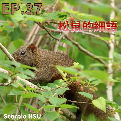 EP37_赤腹低語_松鼠的輕聲細語 EP37_赤腹低語_松鼠的輕聲細語