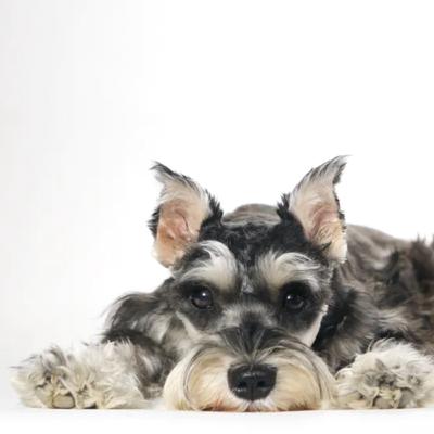 Ep. 41: IL MIO GRANDE AMICO FIODOR