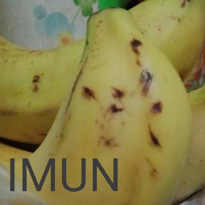 Cara Chandra meningkatkan Imun