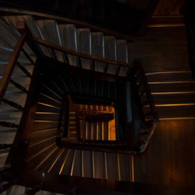 A creeper on the stair