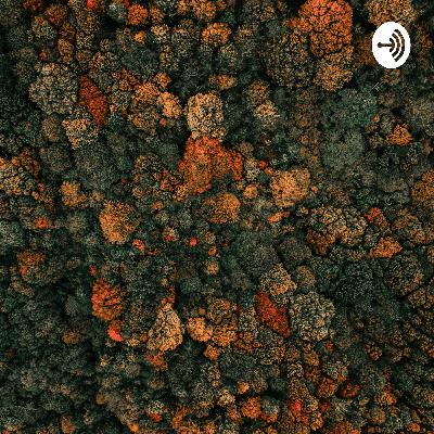 Mulheres negras na literatura brasileira