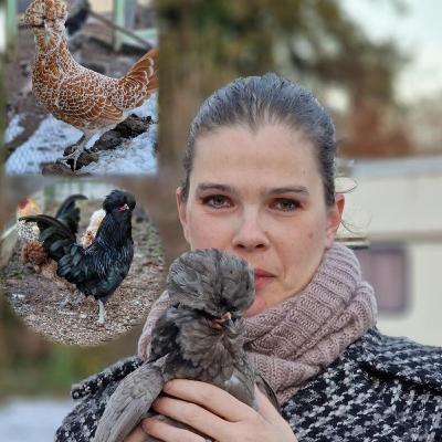 Zwerg-Paduaner - Rasseportrait #20