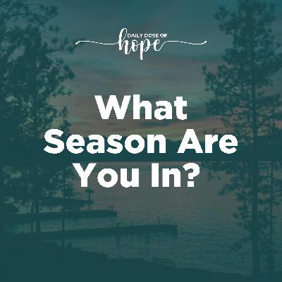 What Season Are You In?  EP 213