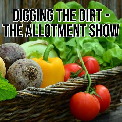 Your new allotment projects for 2023. Digging the Dirt - The Allotment Garden Show. Episode 26. 14th March 2023