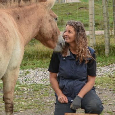 Wild Horse Behavior: What 20 Years of Research Reveals About Domestic Horses Wild Horse Behavior: What 20 Years of Research Reveals About Domestic Horses