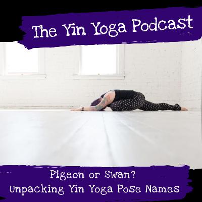 Pigeon or Swan? Unpacking Yin Yoga Pose Names.