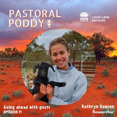 Goat Series: Ep 11 - Worm control in goats - With Kathryn Dawson Goat Series: Ep 11 - Worm control in goats - With Kathryn Dawson