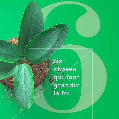 6 Choses qui font grandir la foi 2/3 : voir Dieu Dans les moments clés 6 Choses qui font grandir la foi 2/3 : voir Dieu Dans les moments clés
