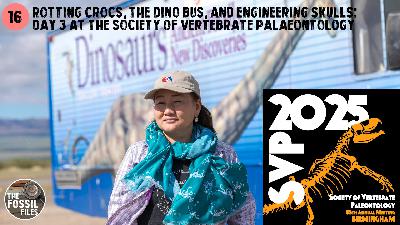 Rotting crocs, the dino bus, and engineering skulls: Day 3 at the Society of Vertebrate Paleontology Rotting crocs, the dino bus, and engineering skulls: Day 3 at the Society of Vertebrate Paleontology