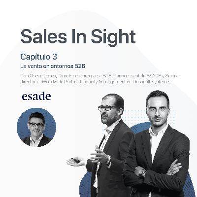 La venta en entornos B2B #3 Sales In Sight
