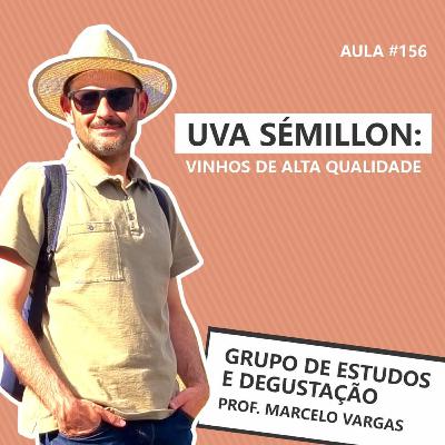 PODCAST aula 156 - Uva Sémillon: vinhos de alta qualidade - Prof. Marcelo Vargas