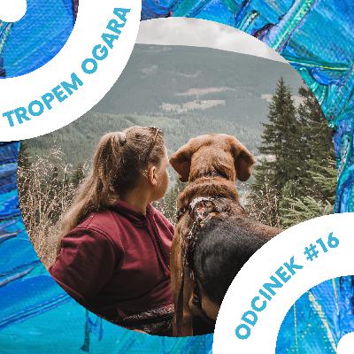 #16 Nie takie wystawy straszne, jak je malują