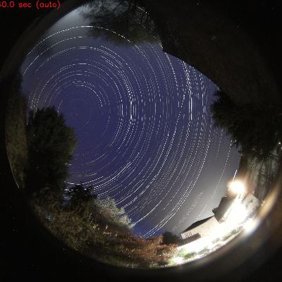 315: Work-in-Progress Till I Die