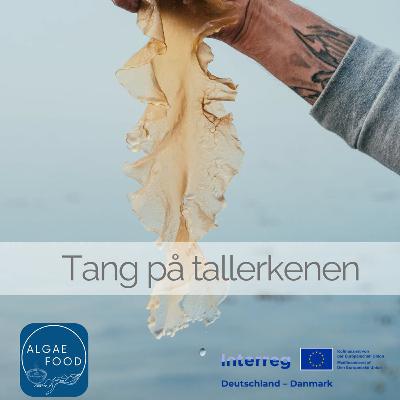 Havhaver – fælles om fremtidens fødevarer