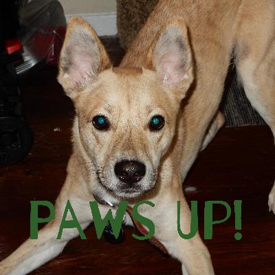 284: Popular Weight Loss Meds & The Evolving Role of RDNs in Obesity Care – Linda Gigliotti & Hope Warshaw 284: Popular Weight Loss Meds & The Evolving Role of RDNs in Obesity Care – Linda Gigliotti & Hope Warshaw