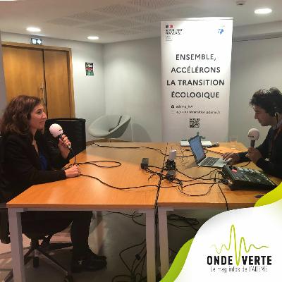OV - la métropole bordelaise en matière d’énergie renouvelables thermiques - Claudine Bichet OV - la métropole bordelaise en matière d’énergie renouvelables thermiques - Claudine Bichet