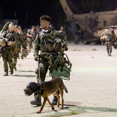 Sorry If This Is Antisemitic But I Think It's Wrong To Train Dogs To Rape Prisoners Sorry If This Is Antisemitic But I Think It's Wrong To Train Dogs To Rape Prisoners