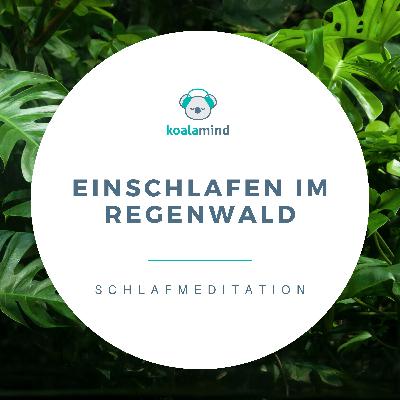 Schlafmeditation: Einschlafen im Regenwald Schlafmeditation: Einschlafen im Regenwald