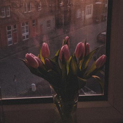 Flower and Flour