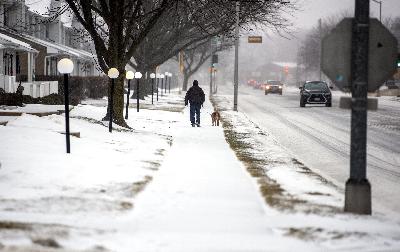 Winter complicates dog walking, and how to care for small mammal pets
