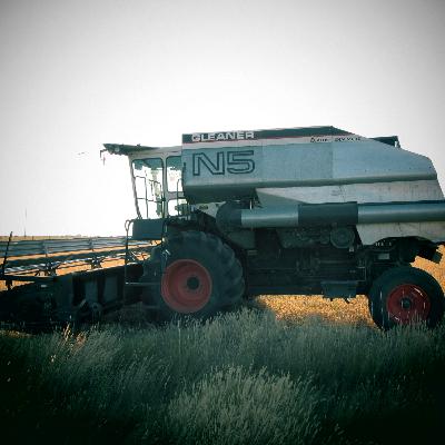 Jess Alger - The Alger Ranch - Stanford, MT