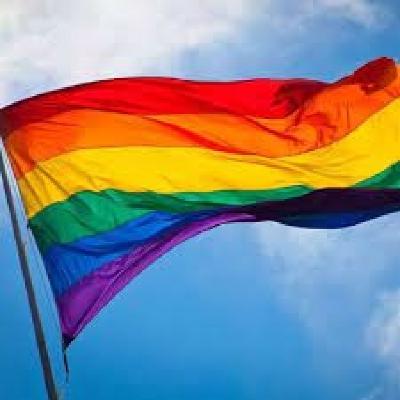 N°23 LGBT, QUE SON Y QUE PERSIGUEN