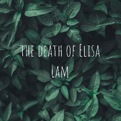 the death of Elisa Lam