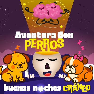 Aventura con Perros (ternura)
