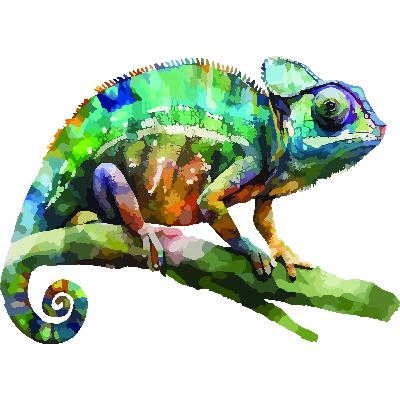 Beyond Knowing: Evolving in a Changing World