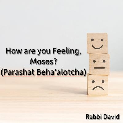 How are you Feeling, Moses? (Parshat Beha'alotcha) | Rabbi David