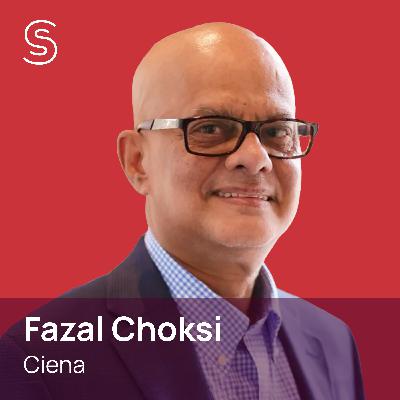 Real-time data transforms Ciena's travel program