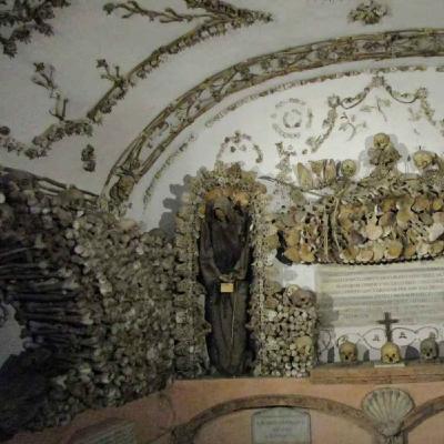 La crypte des Capucins [MYSTÈRE] Chroniques d'une image
