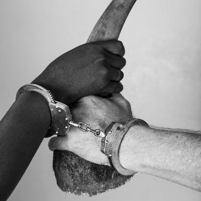 E22: From Undercover to Wildlife Conservation: Tom Svensson’s Fight Against Wildlife Crime E22: From Undercover to Wildlife Conservation: Tom Svensson’s Fight Against Wildlife Crime