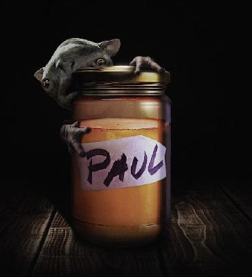 Ep 5.2: THE CLEANSE (2016) Ep 5.2: THE CLEANSE (2016)