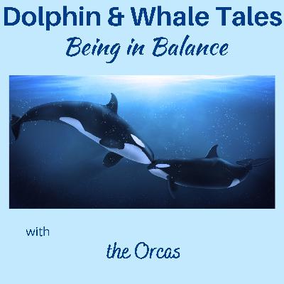 13 Being in Balance with the Orcas