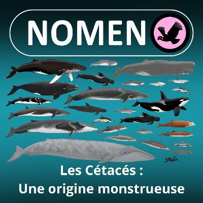 S05E01 Les Cétacés : Une origine monstrueuse
