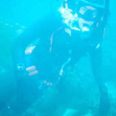 Episode 307-The Sounds Below