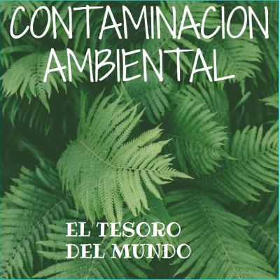COMTAMINACIÓN AMBIENTAL