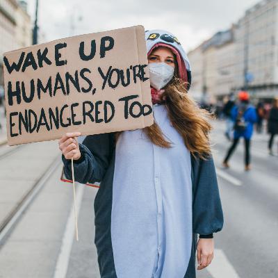 2.6 The Era of Wicked Problems