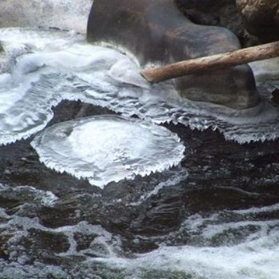 Speaking in Language We Can Understand Speaking in Language We Can Understand