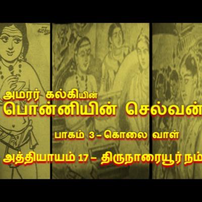 பாகம் 3 கொலை வாள் - அத்தியாயம் 17 திருநாரையூர் நம்பி