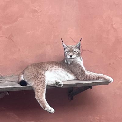 E89:西宁，你还有我不知道的那一面！西宁旅游分享