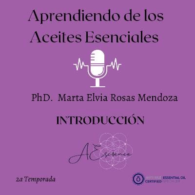 Introducción