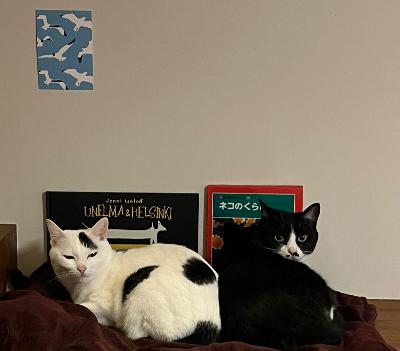 #1393 カクカク夫婦の今年の漢字 from Radiotalk