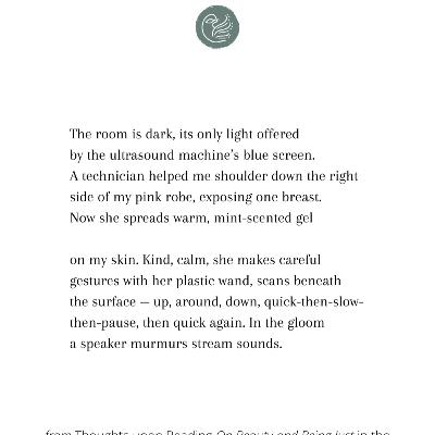 Poem by Alea Peister