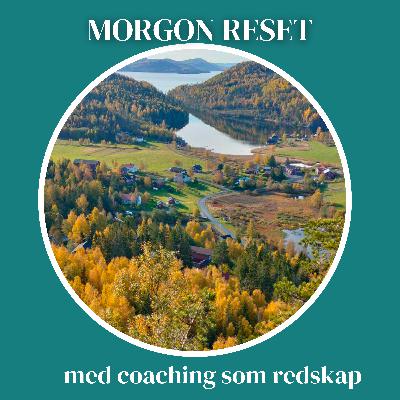 Morgon reset